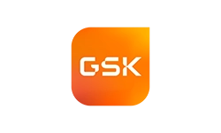 2024 gsk 835f72de