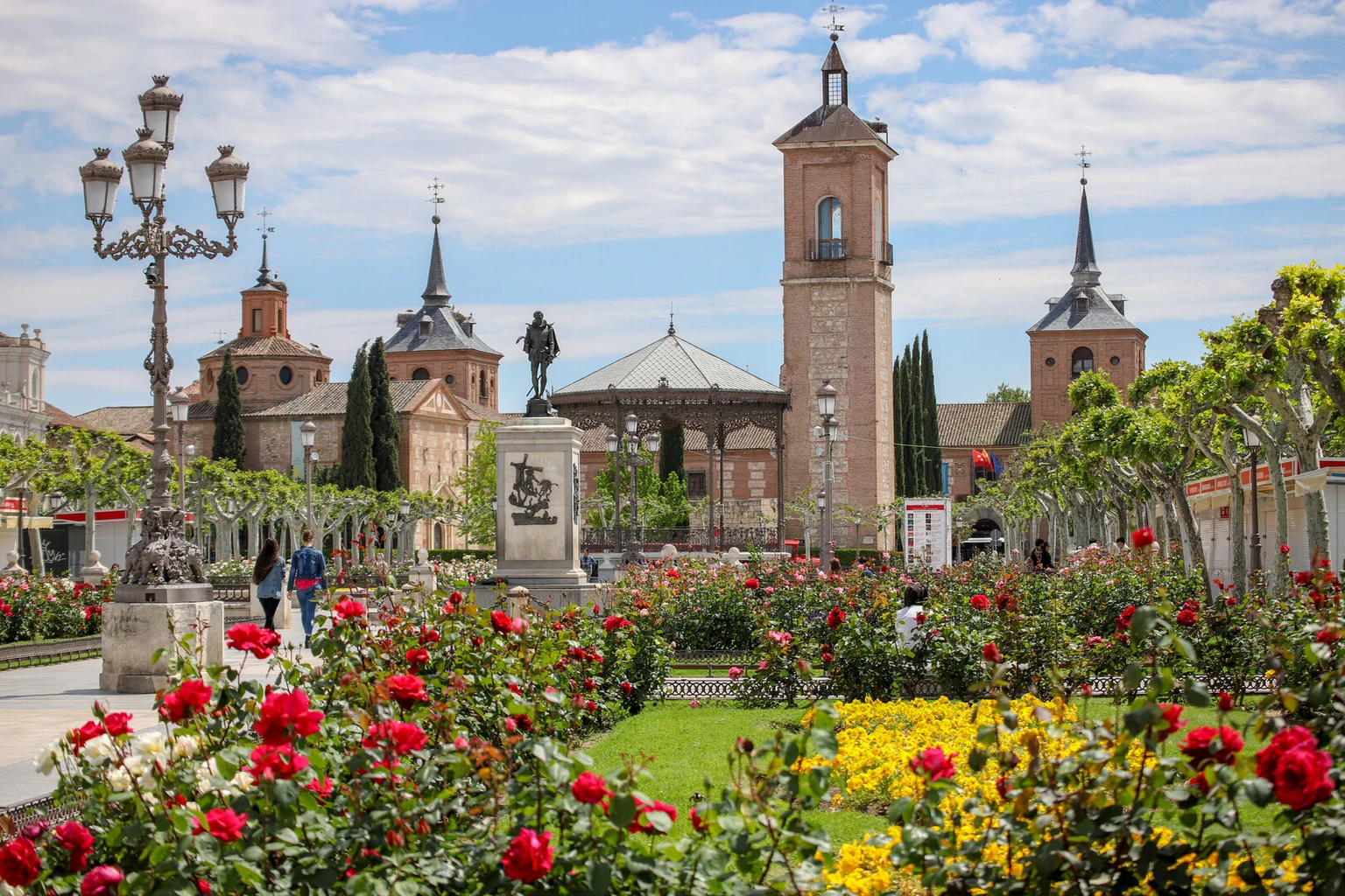 alcala de henares neumohenares